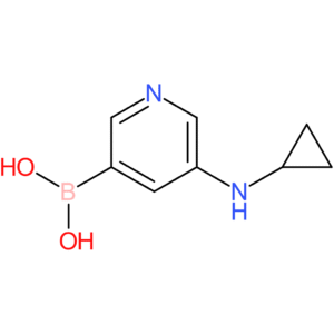 [5-(cyclopropylamino)pyridin-3-yl]boronic acid