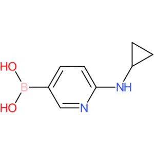 [6-(cyclopropylamino)pyridin-3-yl]boronic acid