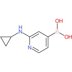 [2-(cyclopropylamino)pyridin-4-yl]boronic acid