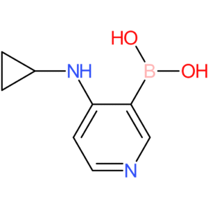 [4-(cyclopropylamino)pyridin-3-yl]boronic acid
