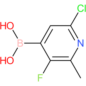 (6-chloro-3-fluoro-2-methylpyridin-4-yl)boronic acid