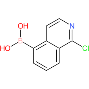 1-chloroisoquinolin-5-boronic acid