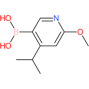 [6-methoxy-4-(propan-2-yl)pyridin-3-yl]boronic acid