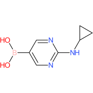 2-(cyclopropylamino)pyrimidine-5-boronic acid