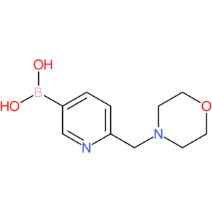 6-(4-morpholinylmethyl)-3-pyridinyl boronic acid