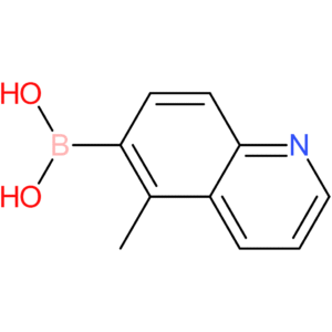 (5-methyl-6-quinolinyl)boronic acid