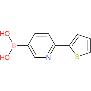 2-(2-thienyl)pyridine-5-boronic acid