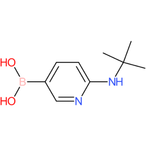 [6-(tert-butylamino)pyridin-3-yl]boronic acid