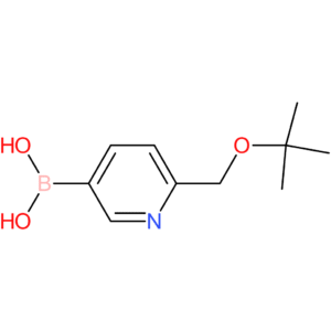 6-(tert-butoxymethyl)pyridin-3-ylboronic acid