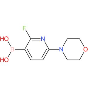 2-fluoro-6-morpholinopyridin-3-ylboronic acid