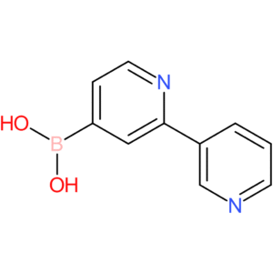 2-(3-pyridyl)pyridine-4-boronic acid