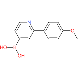2-(4-methoxyphenyl)pyridin-4-ylboronic acid