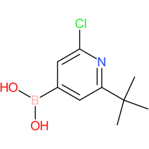 (2-tert-butyl-6-chloropyridin-4-yl)boronic acid