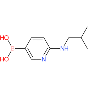 (6-[(2-methylpropyl)amino]pyridin-3-yl)boronic acid