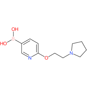 2-(2-pyrrolidin-1-yl-ethoxy)-pyridine-5-boronic acid