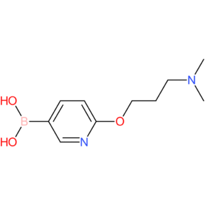 (6-(3-(dimethylamino)propoxy)pyridin-3-yl)boronic acid