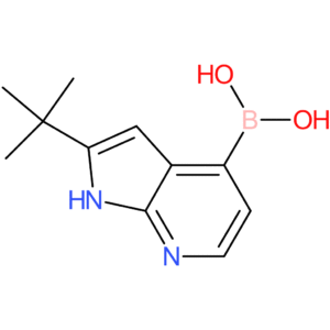 2-tert-butyl-1h-pyrrolo[2,3-b]pyridin-4-ylboronic acid
