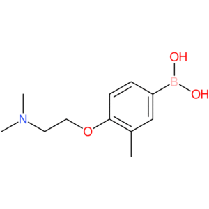 (4-[2-(dimethylamino)ethoxy]-3-methylphenyl)boronic acid