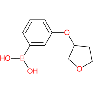 [3-(oxolan-3-yloxy)phenyl]boronic acid