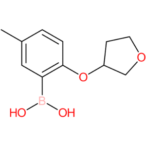 [5-methyl-2-(oxolan-3-yloxy)phenyl]boronic acid