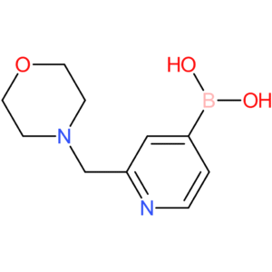 2-(morpholinomethyl)pyridin-4-ylboronic acid