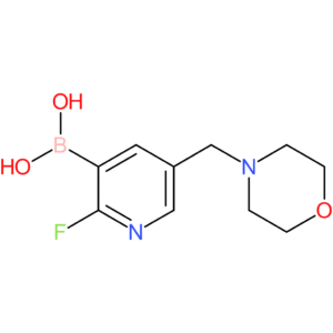 2-fluoro-5-(morpholinomethyl)pyridin-3-ylboronic acid