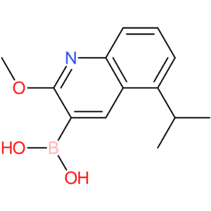 5-isopropyl-2-methoxyquinolin-3-ylboronic acid