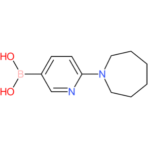 (6-(azepan-1-yl)pyridin-3-yl)boronic acid