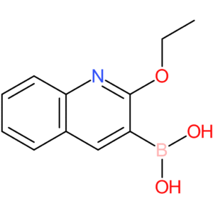 2-ethoxyquinolin-3-ylboronic acid