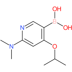 6-(dimethylamino)-4-isopropoxypyridin-3-ylboronic acid