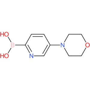 5-morpholinopyridin-2-ylboronic acid