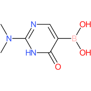 2-(dimethylamino)-6-oxo-1,6-dihydropyrimidin-5-ylboronic acid