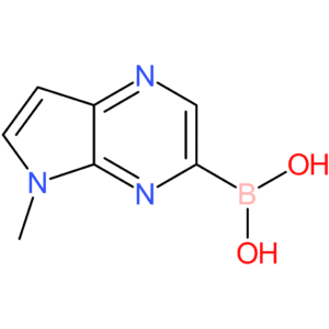 (5-methyl-5h-pyrrolo[2,3-b]pyrazin-3-yl)boronic acid