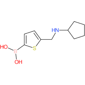 b-[5-[(cyclopentylamino)methyl]-2-thienyl]boronic acid