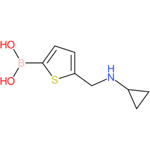 b-[5-[(cyclopropylamino)methyl]-2-thienyl]boronic acid