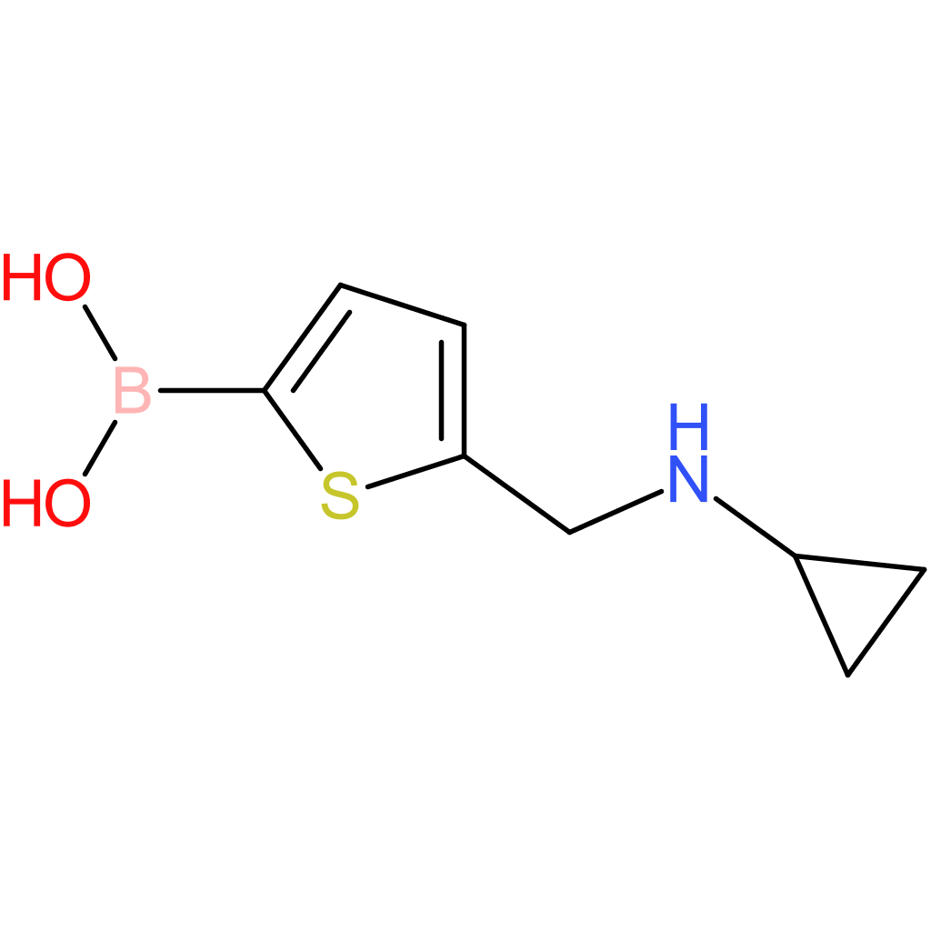 b-[5-[(cyclopropylamino)methyl]-2-thienyl]boronic acid