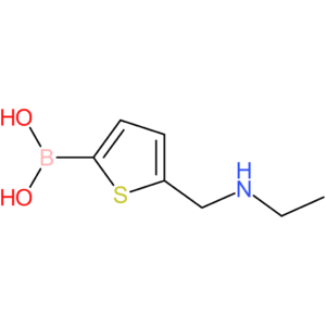 b-[5-[(ethylamino)methyl]-2-thienyl]boronic acid