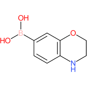 (3,4-dihydro-2h-benzo-[b][1,4]oxazin-7-yl)boronic acid