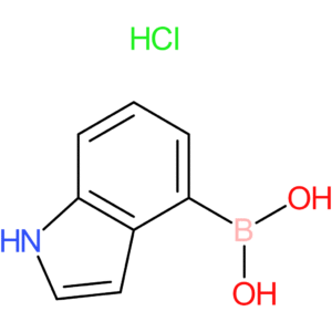 1h-indol-4-ylboronic acid hydrochloride