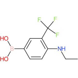 (4-(ethylamino)-3-(trifluoromethyl)phenyl)boronic acid