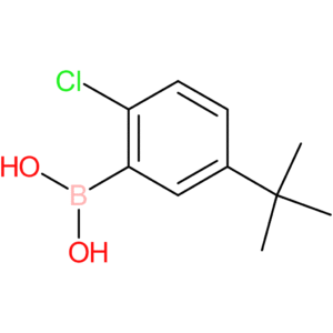 5-tert-butyl-2-chlorophenylboronic acid