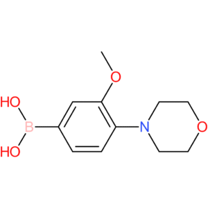 (3-methoxy-4-morpholinophenyl)boronic acid