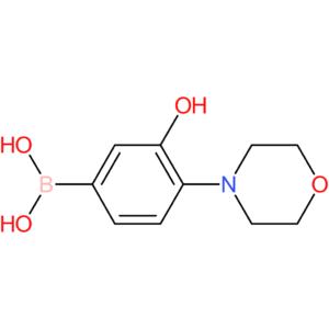 3-hydroxy-4-morpholinophenylboronic acid