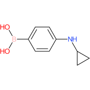 4-(cyclopropylamino)phenylboronic acid