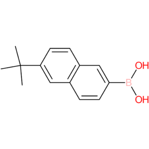 6-tert-butylnaphthalen-2-ylboronic acid