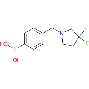 (4-[(3,3-difluoropyrrolidin-1-yl)methyl]phenyl)boronic acid
