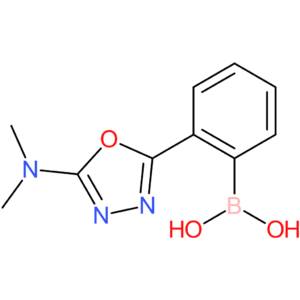 2-(5-(dimethylamino)-1,3,4-oxadiazol-2-yl)phenylboronic acid