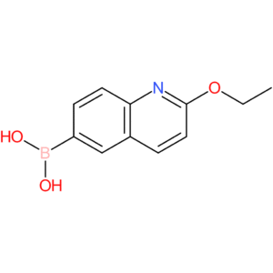 2-ethoxyquinolin-6-ylboronic acid