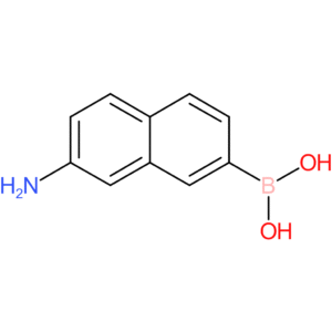 2-aminonaphthalene-7-boronic acid