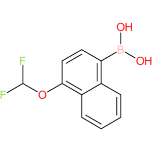 1-(difluoromethoxy)naphthalene-4-boronic acid